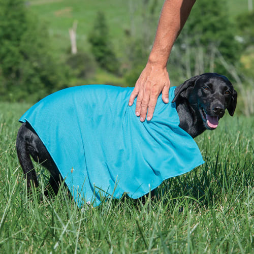 Microfiber Dog Towel | Microfiber Towels